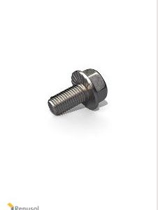 REN-900016 : Renusol Hex Flange bolt with serration M8x14.