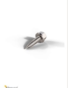 REN-900229 :  Self Drilling Screw 4.8 x 19 A2