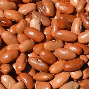 EMERGENCY SEED BANKS : MIN ORDER ( 10 PACKS ) : CHILEAN BUTTER BEANS : FREE DELIVERY: SA AND GLOBAL