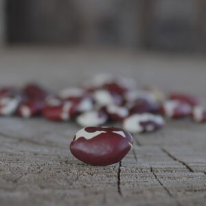 EMERGENCY SEED BANKS : MIN ORDER ( 10 PACKS ) : New Mexican Red beans : FREE DELIVERY: SA AND GLOBAL