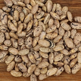 EMERGENCY SEED BANKS : MIN ORDER ( 10 PACKS ) : AUSTRALIAN RATTLESNAKE BEANS: FREE DELIVERY: SA AND GLOBAL