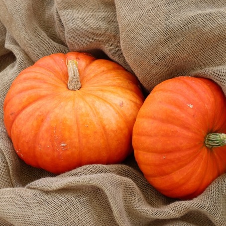 EMERGENCY SEED BANKS : MIN ORDER ( 10 PACKS ) : Cinderella Pumpkin : FREE DELIVERY: SA AND GLOBAL