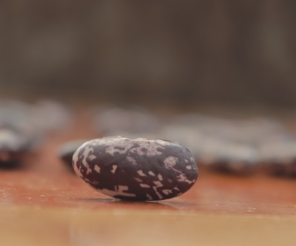 EMERGENCY SEED BANKS : MIN ORDER ( 10 PACKS ) : Northern Malawi Vitumbe BEANS : FREE DELIVERY: SA AND GLOBAL