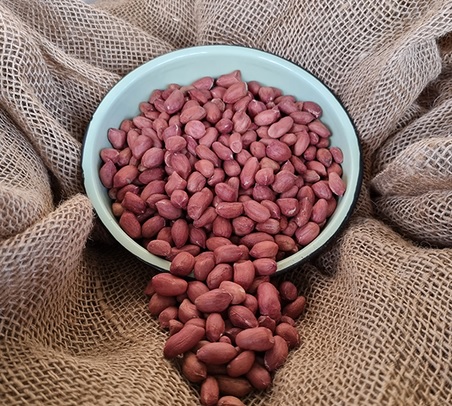 EMERGENCY SEED BANKS : MIN ORDER ( 10 PACKS ) : Mulato peanuts : FREE DELIVERY: SA AND GLOBAL