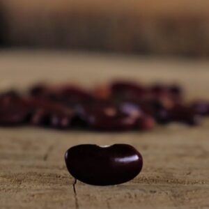 EMERGENCY SEED BANKS : MIN ORDER ( 10 PACKS ) : Pakistan Maroon beans : FREE DELIVERY: SA AND GLOBAL