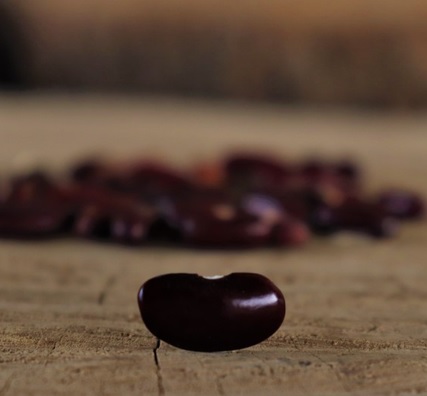 EMERGENCY SEED BANKS : MIN ORDER ( 10 PACKS ) : Pakistan Maroon beans : FREE DELIVERY: SA AND GLOBAL