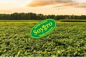 FOR SALE SOUTH AFRICA ONLY : SOYGRO BEANFLO : MIN ORDER ( 30ml : Quantity : 15 ) : ORGANIC FERTILIZER : FREE DELIVERY