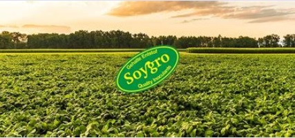 FOR SALE SOUTH AFRICA ONLY : SOYGRO BEANFLO : MIN ORDER ( 30ml : Quantity : 15 ) : ORGANIC FERTILIZER : FREE DELIVERY